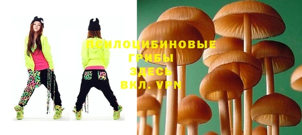 марки nbome Горнозаводск