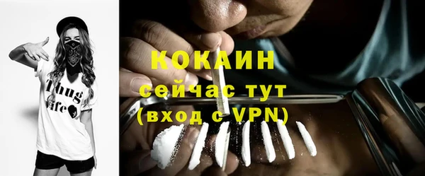 дживик Вяземский