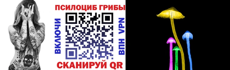 Купить закладки  Краснозаводск  Псилоцибиновые грибы GOLDEN TEACHER 