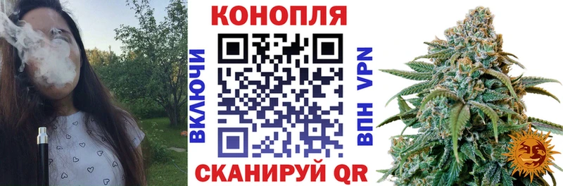 Купить закладки  Краснозаводск  Бошки Шишки THC 21% 